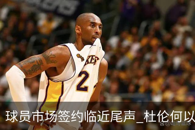 球员市场签约临近尾声 杜伦何以成为夏窗头号剩男？